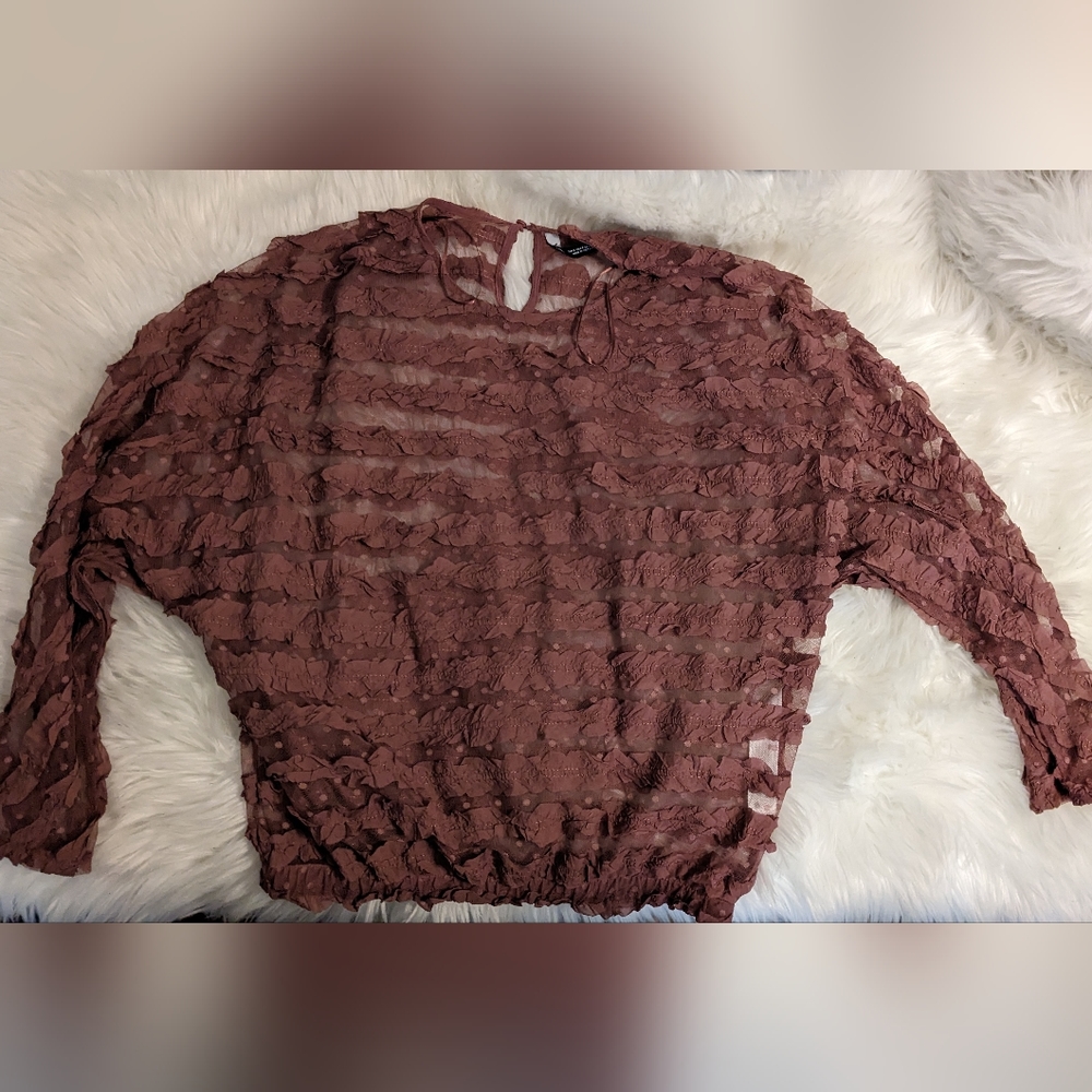 Zara Sheer Blouse